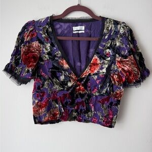 Urban Outfitters Purple and Burgundy Velvet Top